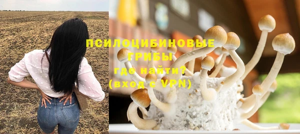 гашиш Няндома