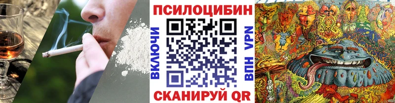 дарк нет какой сайт  Воронеж  Псилоцибиновые грибы мухоморы 