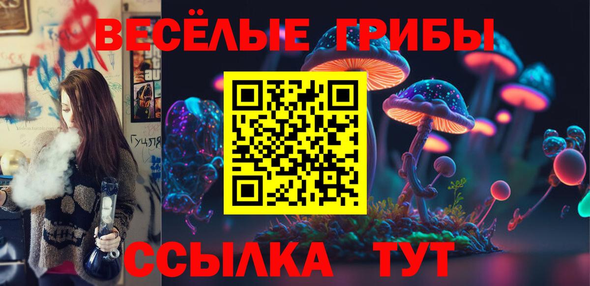 Воронеж  Псилоцибиновые грибы Psilocybine cubensis  Вход с VPN 